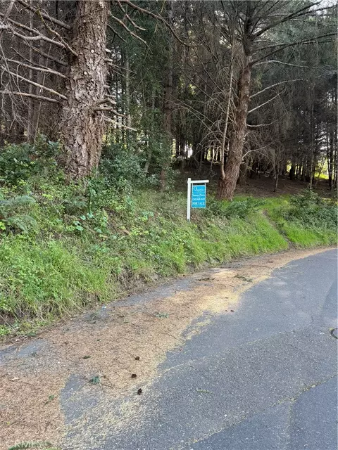 767 Spring Rd, Shelter Cove, CA 95589 photo 3