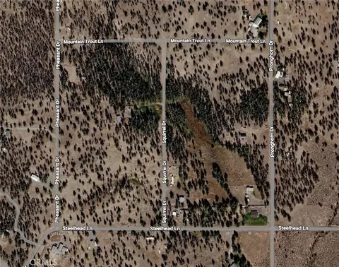 0 Pheasant Dr, Alturas, CA 96101