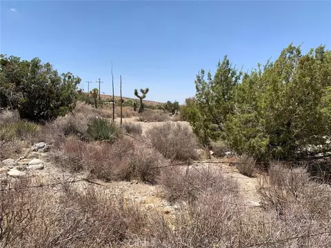 0 Vic Ave Z4 234 Ste, Llano, CA 93544 photo 7