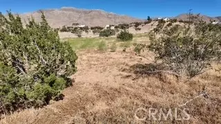 Other - 7676 Juniper, Apple Valley, CA 92308 photo 6 of 16