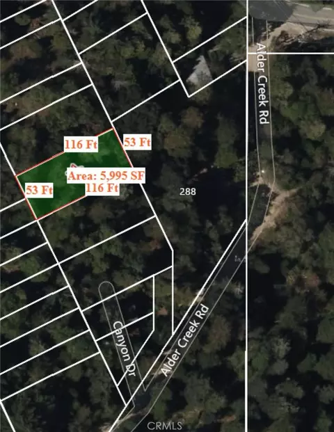 342 Canyon Dr, Cedarpines Park, CA 92322
