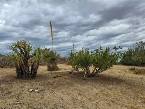 Exterior - 31611 157th E, Llano, CA 93544 photo 18 of 18