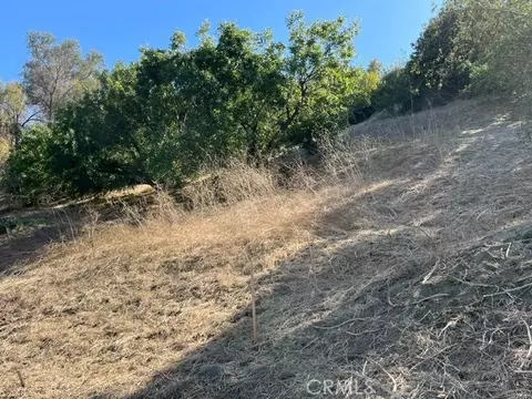 0 Palomar Dr, La Habra Heights, CA 90631