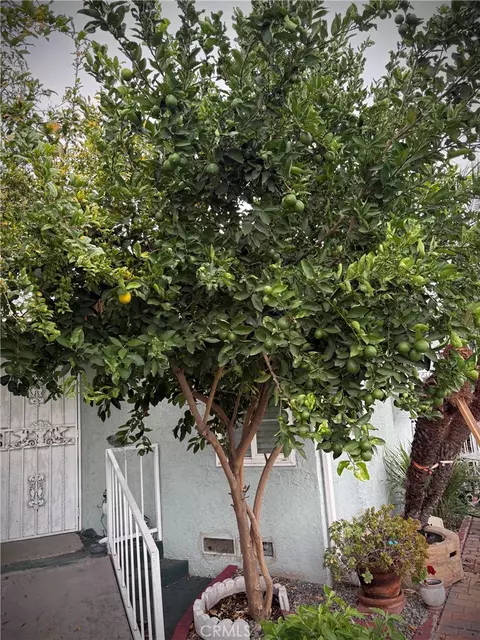 Exterior - 3929 E 56th St, Maywood, CA 90270 photo 17 of 21