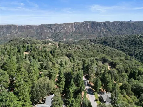 View/Area - 107 Pine Rdg, Crestline, CA 92325 photo 1 of 4