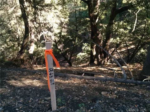 0 Chillion Dr, Crestline, CA 92325 photo 5
