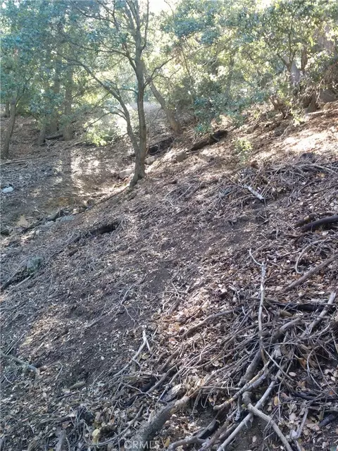 0 Chillion Dr, Crestline, CA 92325 photo 6