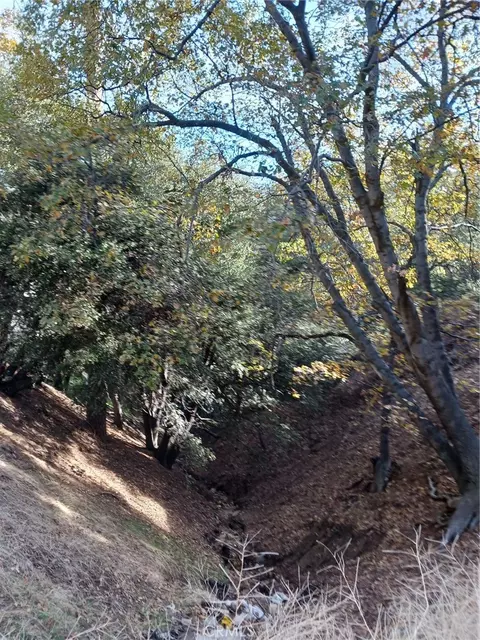 24764 Edelwiess Dr, Crestline, CA 92325 photo 4