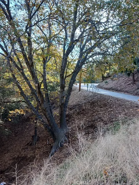 24764 Edelwiess Dr, Crestline, CA 92325 photo 3