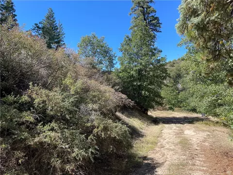 53 Lot 53 Maple Dr, Cedar Glen, CA 92321 photo 1