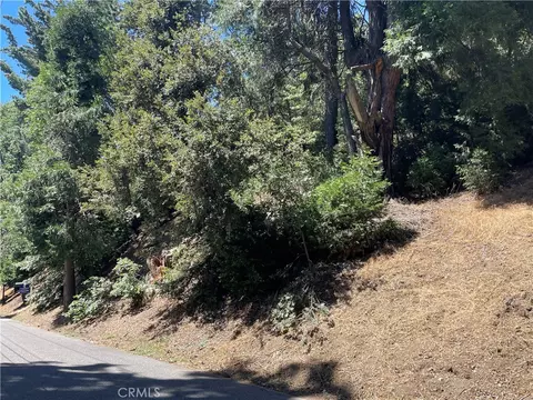 16 Lot 16 Sawpit Canyon Rd, Cedarpines Park, CA 92322