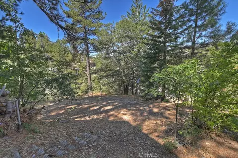 Exterior - 33026 Donner Ln, Arrowbear, CA 92382 photo 7 of 7