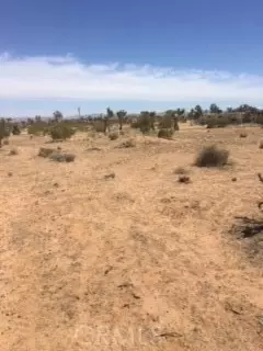 0 Nnnn, Twentynine Palms, CA 92277