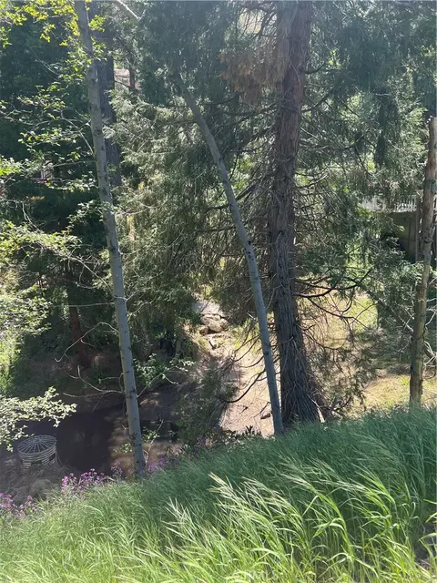 24580 Bernard Dr, Crestline, CA 92325 photo 6