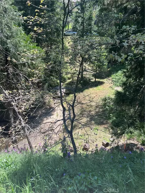 24580 Bernard Dr, Crestline, CA 92325 photo 5