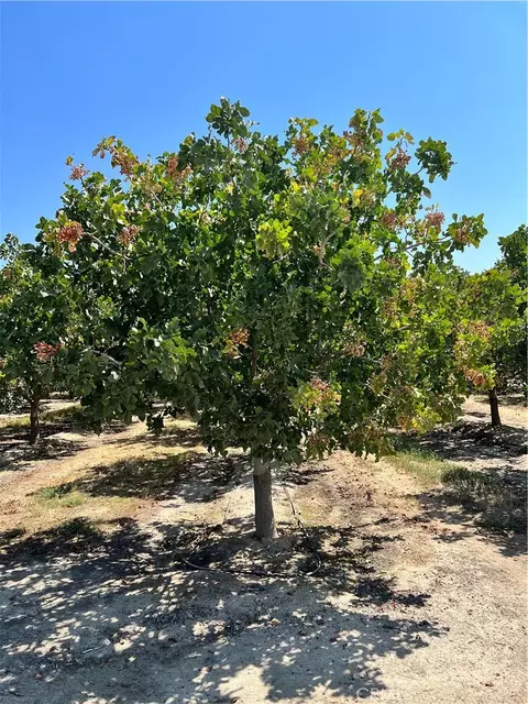 10975 Avenue 16, Alpaugh, CA 93215
