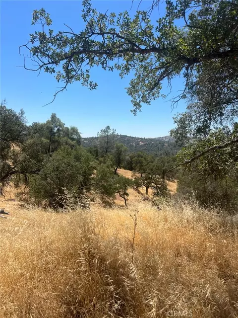 0 Deep Forest Dr, Coarsegold, CA 93614
