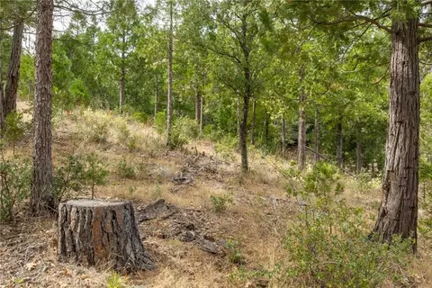 26 Timberview, North Fork, CA 93643 photo 9