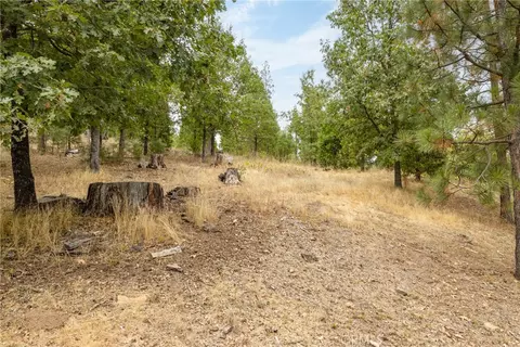 26 Timberview, North Fork, CA 93643 photo 11