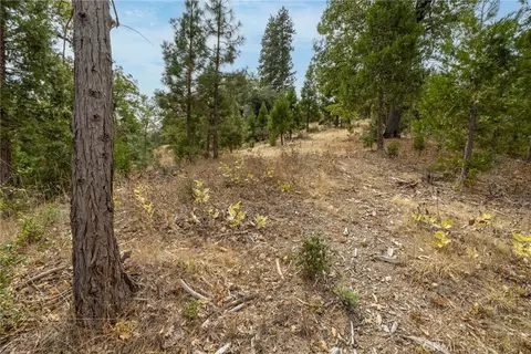 26 Timberview, North Fork, CA 93643 photo 31