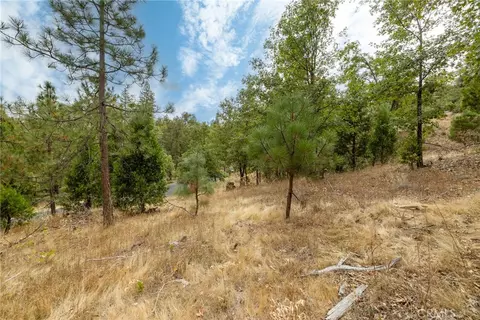 26 Timberview, North Fork, CA 93643 photo 20