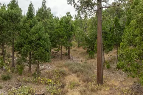 26 Timberview, North Fork, CA 93643 photo 4