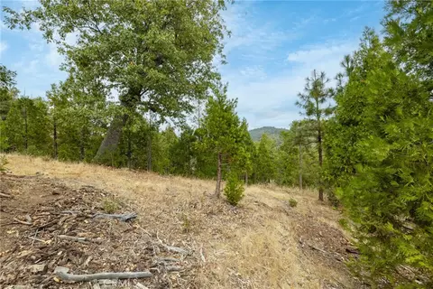 26 Timberview, North Fork, CA 93643 photo 25