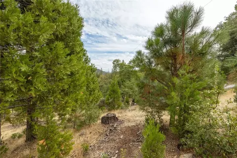 26 Timberview, North Fork, CA 93643 photo 23