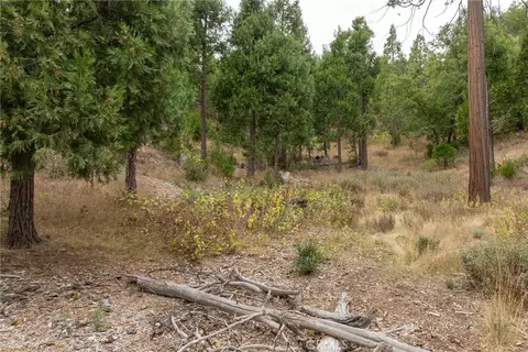 26 Timberview, North Fork, CA 93643 photo 5