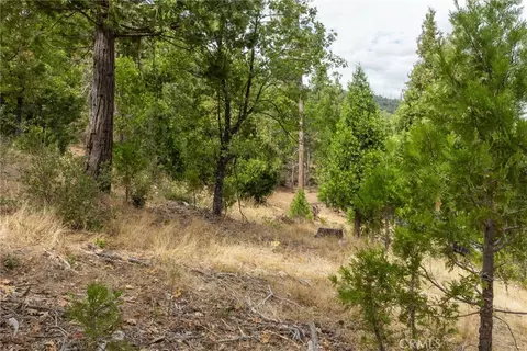 26 Timberview, North Fork, CA 93643 photo 6