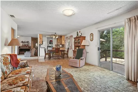 Living - 59556 Cascadel, North Fork, CA 93643 photo 6 of 6