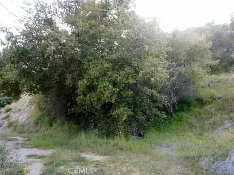 37 Lynx Ln, Prather, CA 93651 photo 7