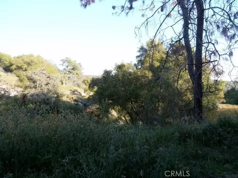 37 Lynx Ln, Prather, CA 93651 photo 6