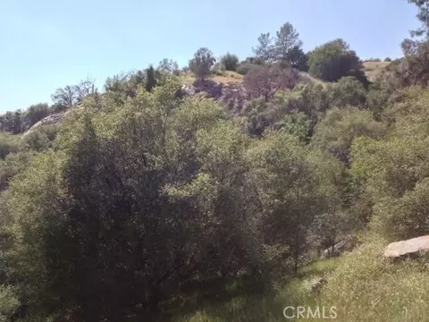 37 Lynx Ln, Prather, CA 93651 photo 24