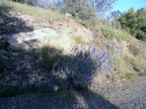 37 Lynx Ln, Prather, CA 93651 photo 19