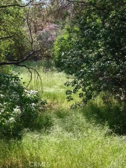 37 Lynx Ln, Prather, CA 93651 photo 29