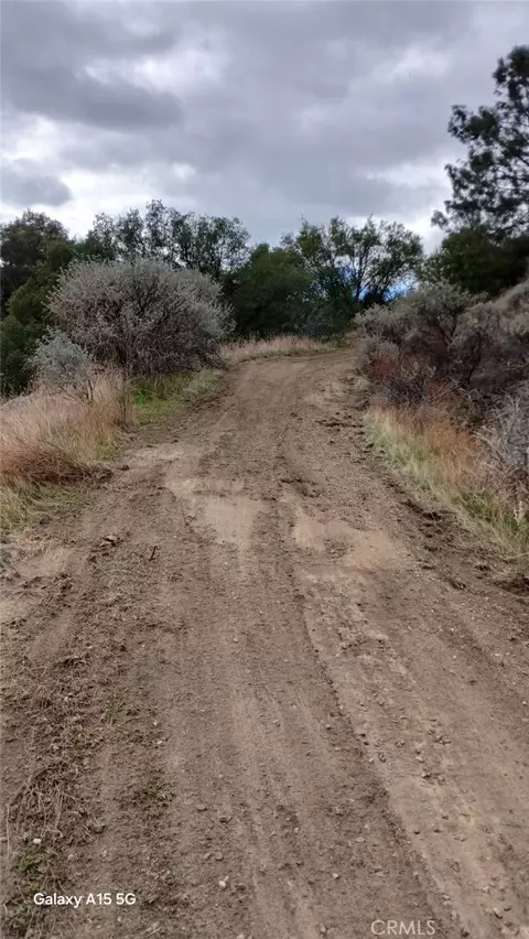 37 Lynx Ln, Prather, CA 93651 photo 43