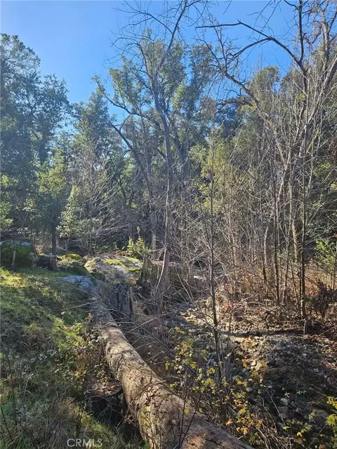 59366 Road 225, North Fork, CA 93643 photo 21