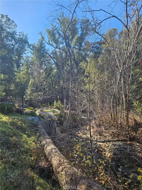 59366 Road 225, North Fork, CA 93643 photo 21
