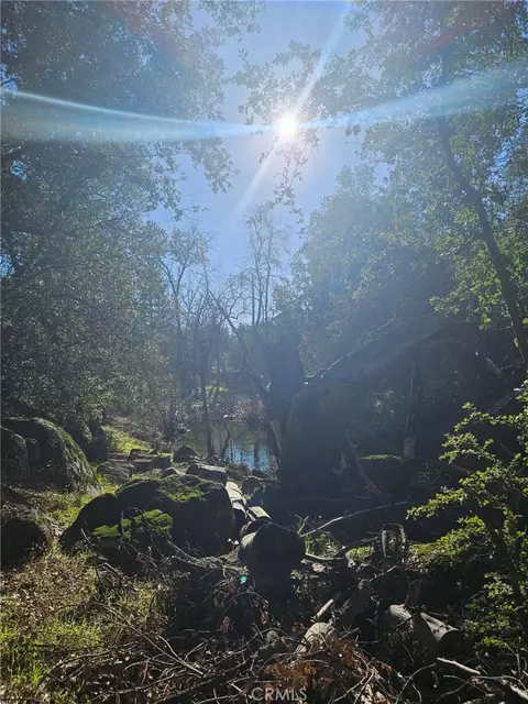 59366 Road 225, North Fork, CA 93643 photo 19