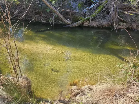 59366 Road 225, North Fork, CA 93643 photo 5