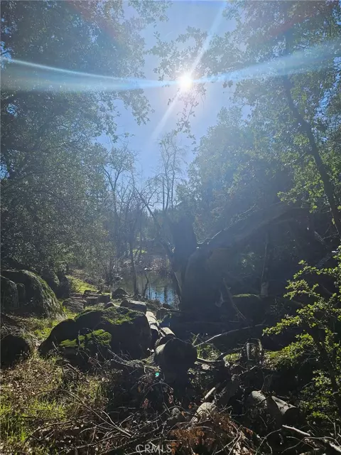 59366 Road 225, North Fork, CA 93643 photo 19