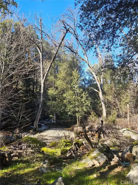59366 Road 225, North Fork, CA 93643 photo 36