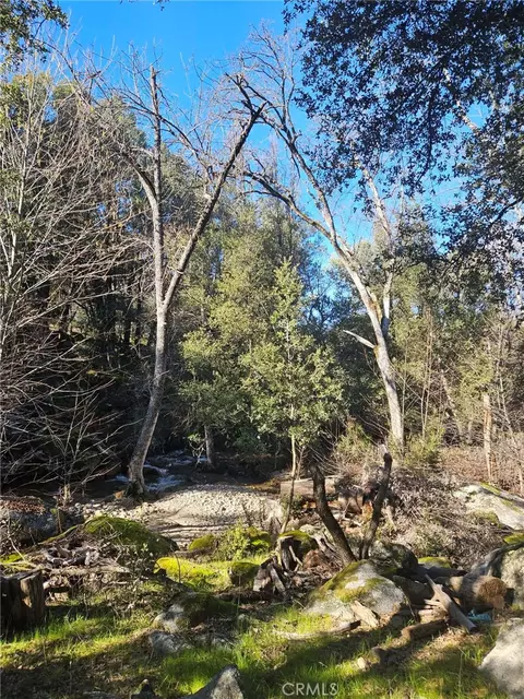 59366 Road 225, North Fork, CA 93643 photo 36