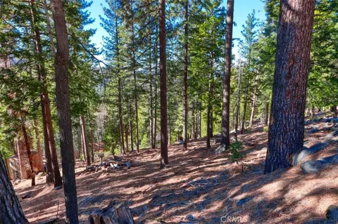 7349 Yosemite Park Way, Yosemite, CA 95389