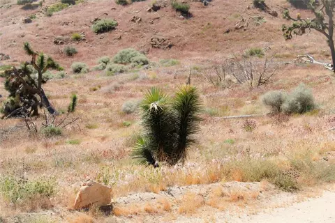 56363 Eagles Nest, Yucca Valley, CA 92284 photo 18