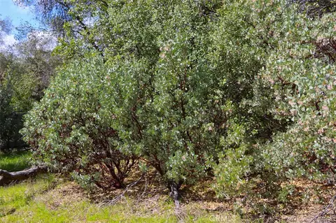 0 Knickerbocker, Ahwahnee, CA 93601 photo 20