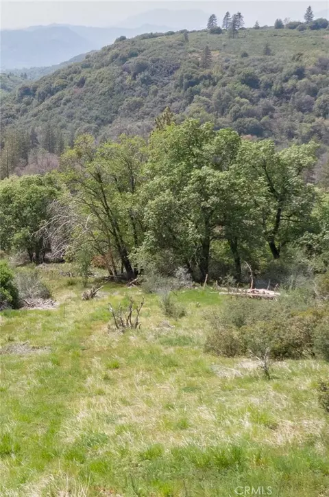 Other - 52865 N Highway 245, Miramonte, CA 93641 photo 13 of 15