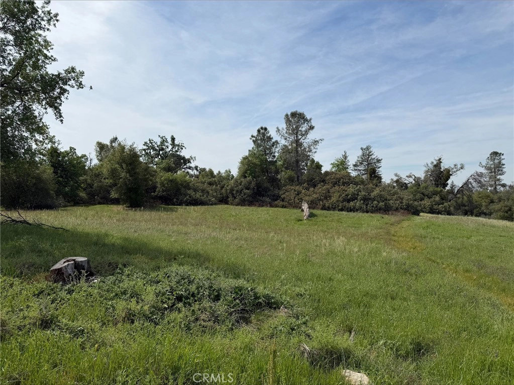 5 Mountain Springs Rd, North Fork, CA 93643 photo 6