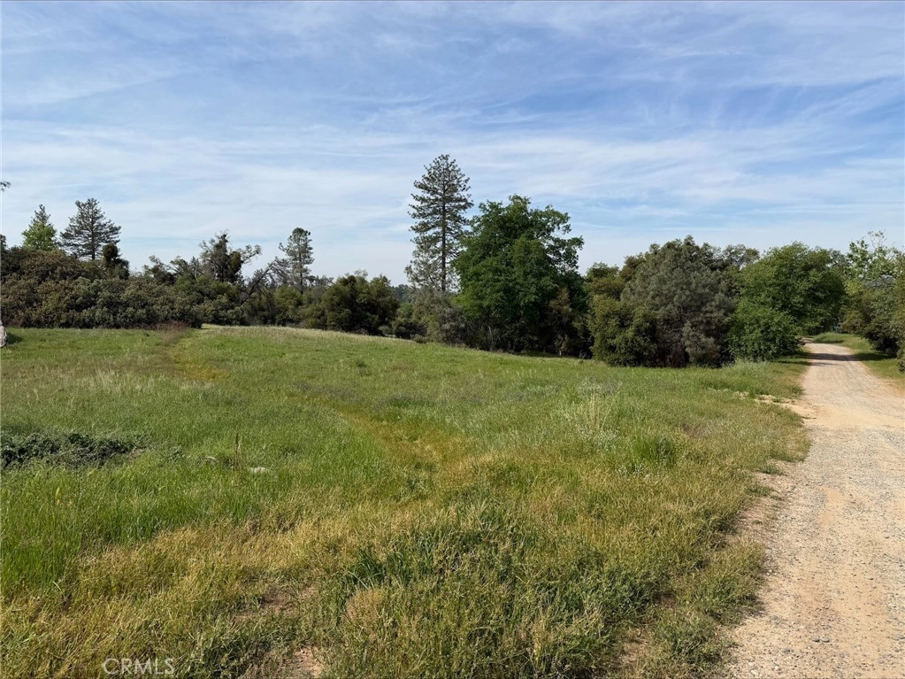 5 Mountain Springs Rd, North Fork, CA 93643 photo 2